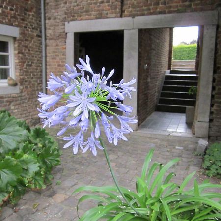 Affittacamere Lisa'S Weelde Tongeren Esterno foto